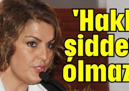 'Haklı şiddet olmaz'
