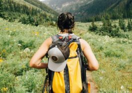 İNSANLAR NEDEN SEYAHAT EDER SORUSUNA YANIT BULUNDU