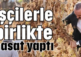 İşçilerle birlikte hasat yaptı