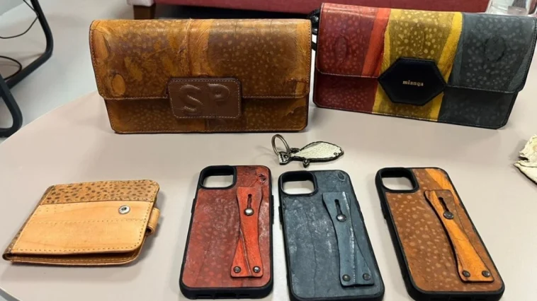 İzinsiz kullanılan Balon balığı projesi mahkemelik oldu