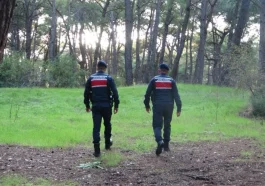 Jandarmadan sıkı orman denetimi