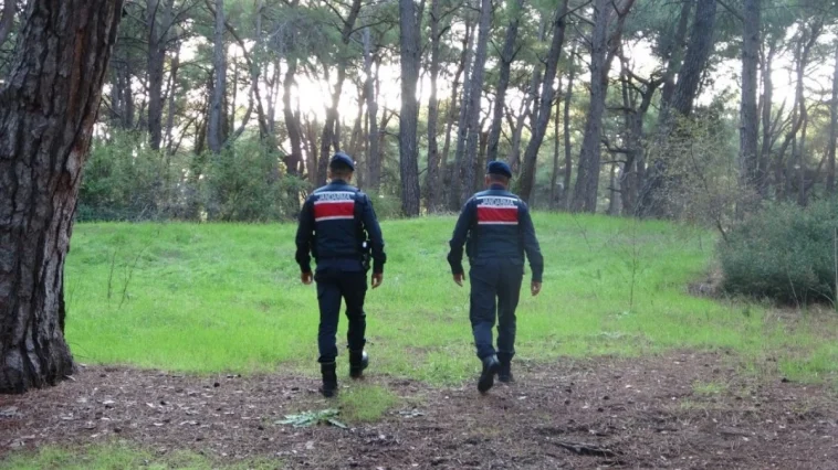 Jandarmadan sıkı orman denetimi