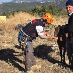 Kaya oyukta mahsur kalan keçi kurtarıldı