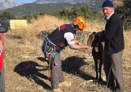 Kaya oyukta mahsur kalan keçi kurtarıldı