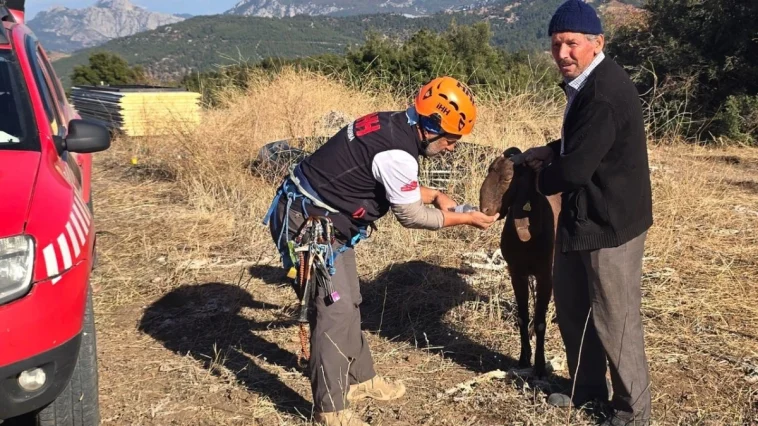 Kaya oyukta mahsur kalan keçi kurtarıldı