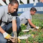 Konyaaltı'nda mevsimlik çiçek ekimi