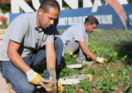 Konyaaltı'nda mevsimlik çiçek ekimi