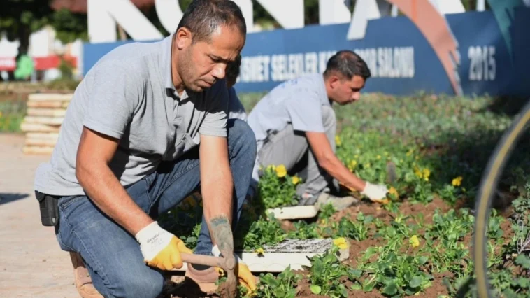 Konyaaltı'nda mevsimlik çiçek ekimi