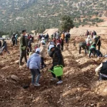 Korkuteli'nde 3 bin fidan toprakla buluştu