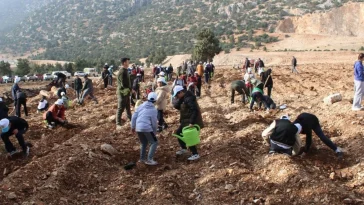 Korkuteli'nde 3 bin fidan toprakla buluştu