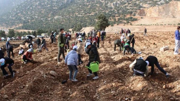 Korkuteli'nde 3 bin fidan toprakla buluştu