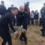 Lara’da caretta caretta operasyonu