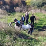 Manavgat'ta boş arazide erkek cesedi bulundu