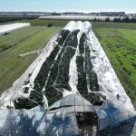 Manavgat'ta hortumun yaraları sarılıyor