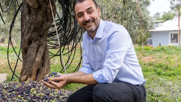 Manavgat’ta Zeytin ve Zeytinyağı Festivali’nin ikincisi başlıyor