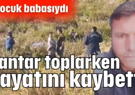 Mantar toplarken hayatını kaybetti