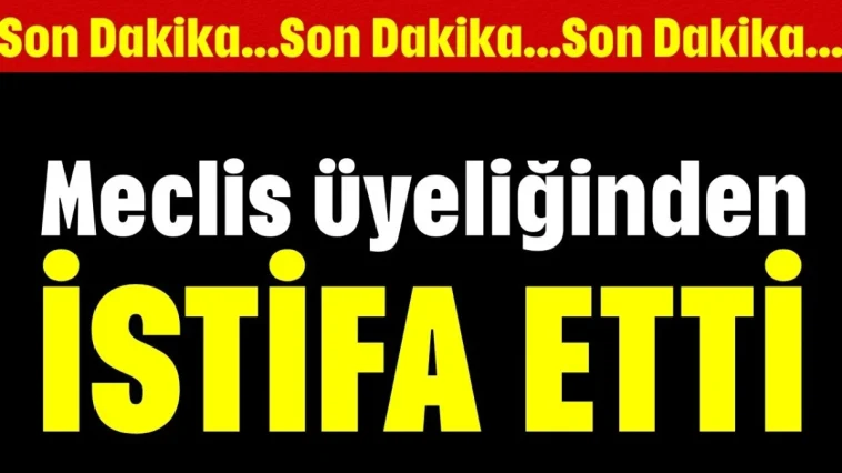 Meclis üyeliğinden istifa etti