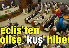 Meclis'ten polise 'kuş' hibesi