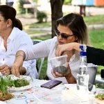 Mikro yeşilliklerle minyatür bahçeler oluşturdular