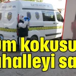 Ölüm kokusu mahalleyi sardı