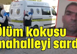 Ölüm kokusu mahalleyi sardı