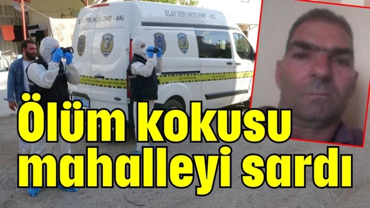 Ölüm kokusu mahalleyi sardı