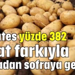 Patates yüzde 382 fiyat farkıyla tarladan sofraya geliyor