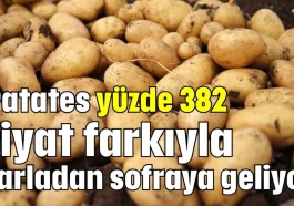 Patates yüzde 382 fiyat farkıyla tarladan sofraya geliyor
