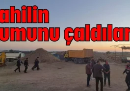Sahilin kumunu çaldılar!