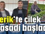 Serik'te çilek hasadı başladı