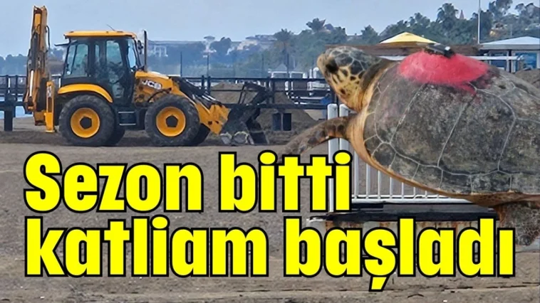 Sezon bitti katliam başladı