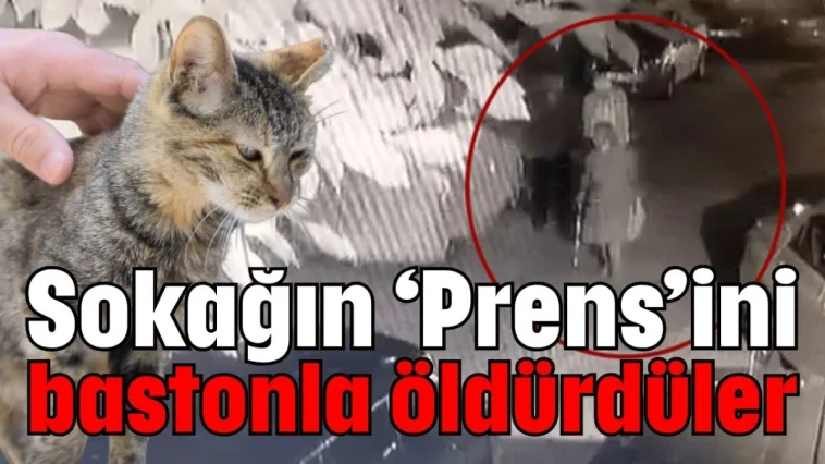 Antalya'da sokağın ‘Prens’ini bastonla öldürdüler