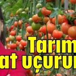 Tarımda fiyat uçurumu