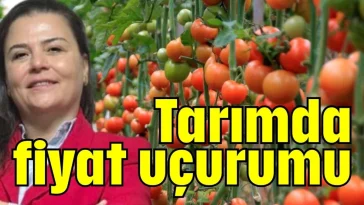 Tarımda fiyat uçurumu