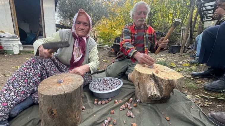 Toroslar’da şifa kazanı kaynıyor