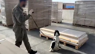 Uyuşturucu kaçakçılarına gümrük duvarı