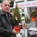 Yılbaşı ağaçları 2 bin liradan satılıyor
