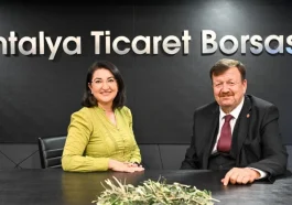 Zeytinde rekolte kaybı %40’a dayandı