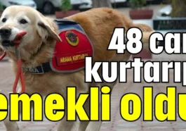 48 can kurtarıp emekli oldu