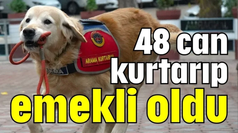 48 can kurtarıp emekli oldu