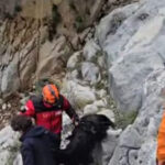 Serikte dağlık alanda keçi kurtarma operasyonu