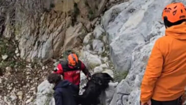 Serikte dağlık alanda keçi kurtarma operasyonu