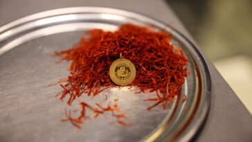 Kilosu 900 bin liraya ulaşan safran, mısır koçanı ve at kılı ile taklit ediliyor