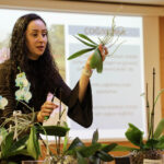 Büyükşehir Belediyesinden orkide bakımı eğitimi