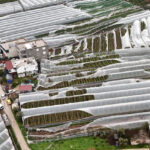 Finike’de hortumdan zarar gören seralarda hasar tespiti başladı