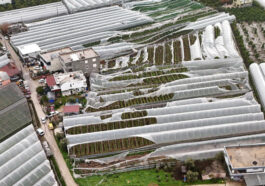 Finike’de hortumdan zarar gören seralarda hasar tespiti başladı