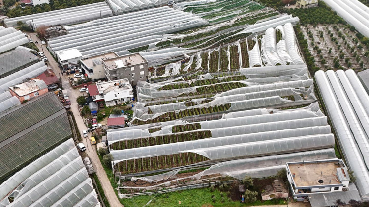 Finike’de hortumdan zarar gören seralarda hasar tespiti başladı