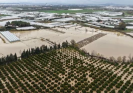 Aksu’da dere taştı, seralar sular altında kaldı
