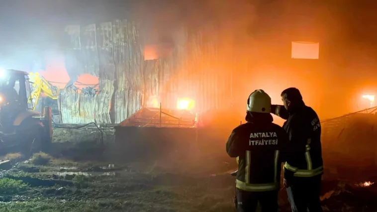 Alanya'da gece yarısı çıkan yangın 2 saatte kontrol altına alındı