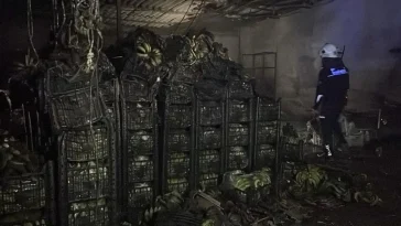 Alanya'da muz sarartma tesisinde yangın